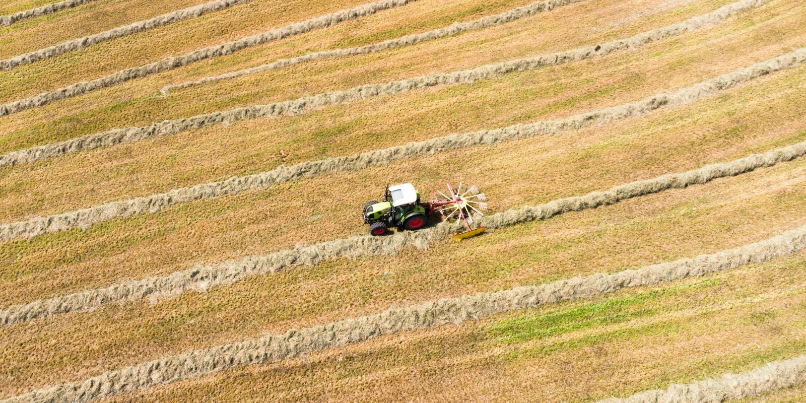 Économétrie : Méthodes et Applications