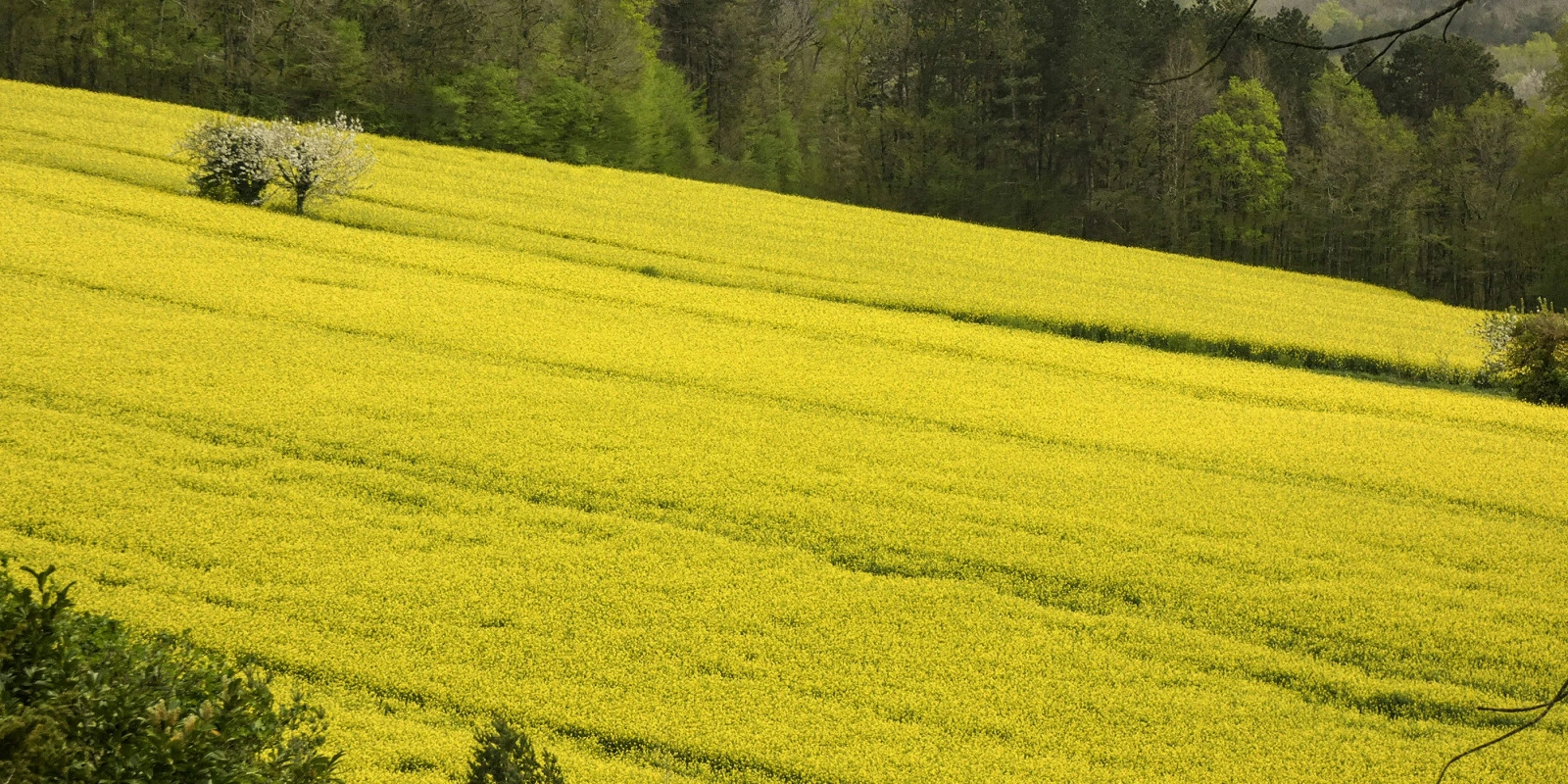 Économie de l'Énergie : Ressources et Enjeux Géopolitiques