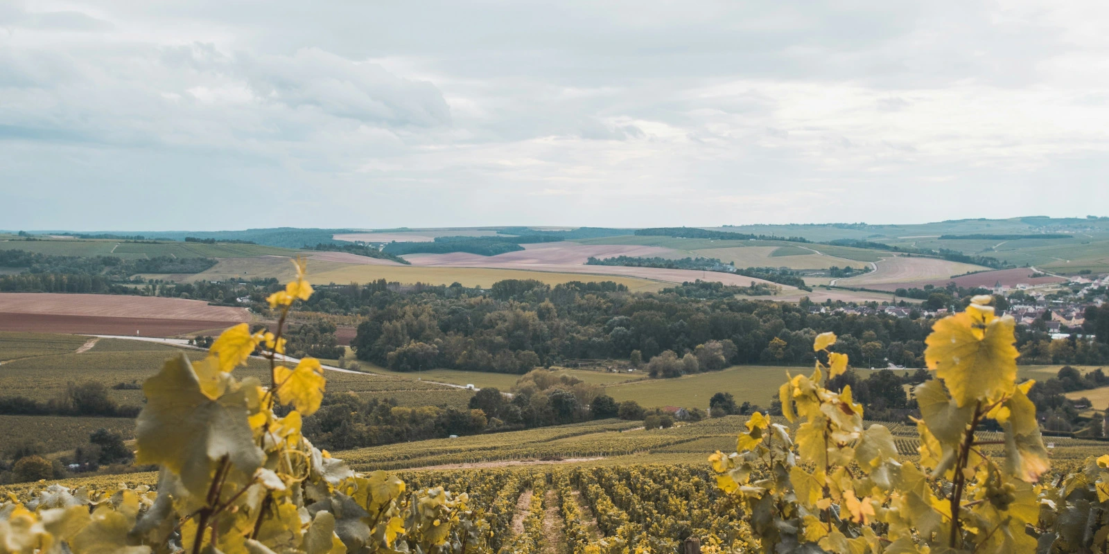 Économie du Développement : Pays Émergents et Inégalités