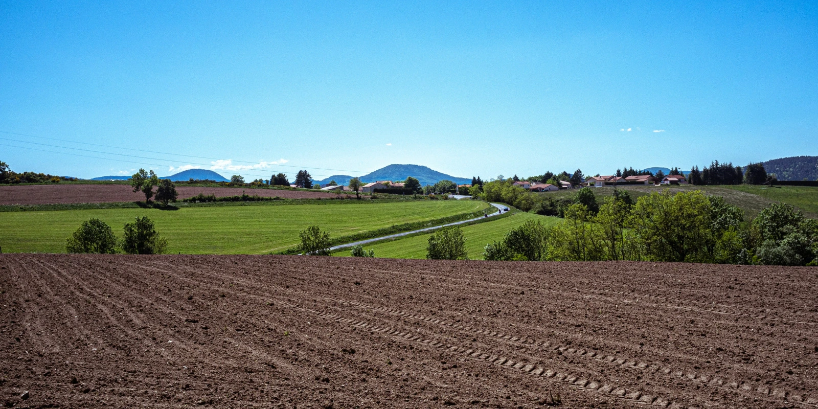Études Économiques: Les Spécialités