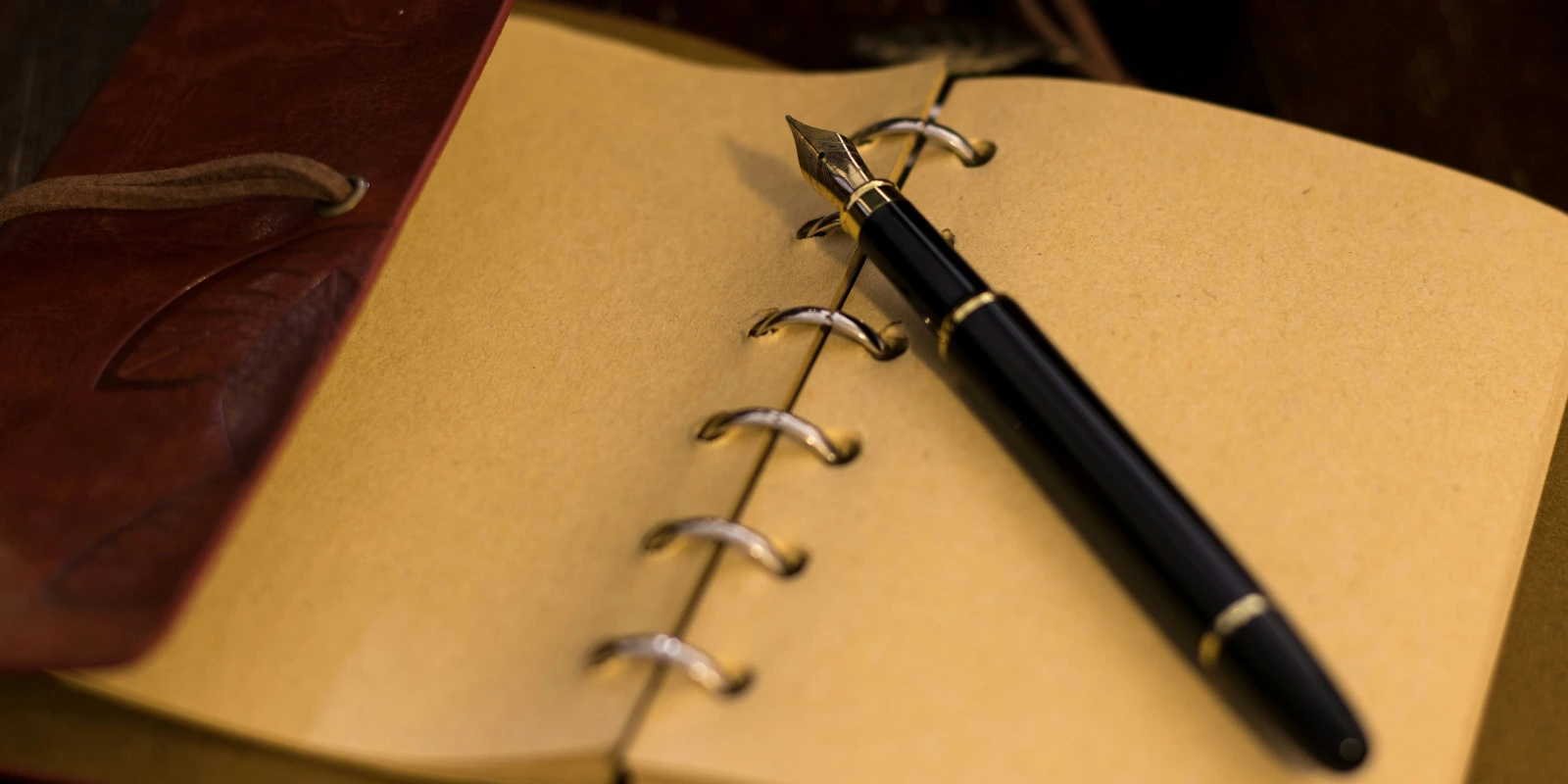 Le Métier d'Économiste Après une Licence Éco (Économie)