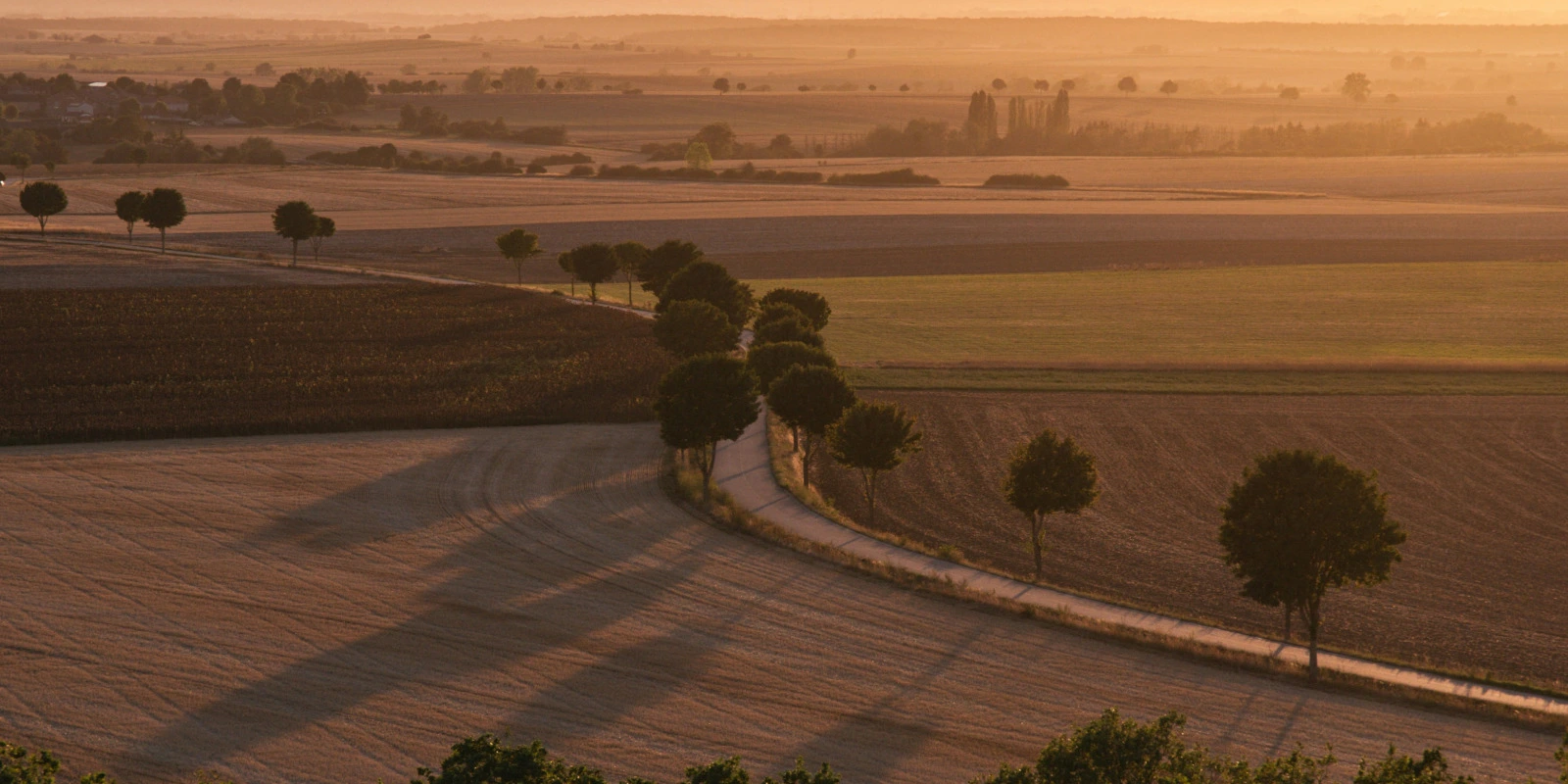Les Débouchés après une Double Licence Droit Économie