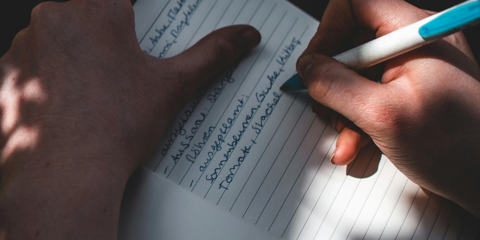 Les Débouchés d'une Licence Éco (Économie)