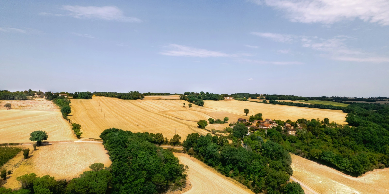 Une Analyse Économique en Licence 1 à Paris 1